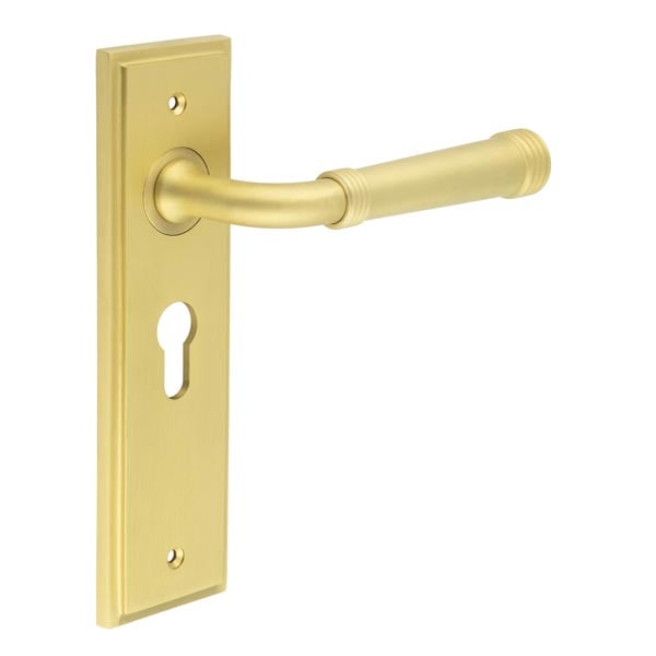 This is an image showing the Frelan - Highgate Door Handle Euro Backplate Satin Brass available to order from Trade Door Handles in Kendal