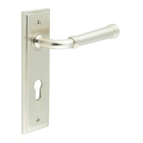 High quality image of Burlington - Highgate Door Handle Din Euro Backplate Satin Nickel Sku. BUR35KIT324