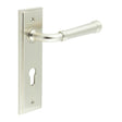 This is an image showing the Frelan - Highgate Door Handle Din Euro Backplate Satin Nickel available to order from Trade Door Handles in Kendal