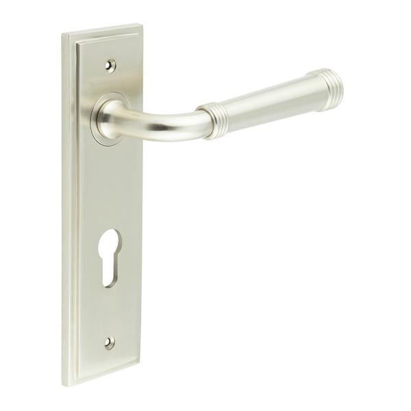 This is an image showing the Frelan - Highgate Door Handle Din Euro Backplate Satin Nickel available to order from Trade Door Handles in Kendal