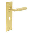 This is an image showing the Frelan - Piccadilly Door Handle Lock Backplate Satin Brass available to order from Trade Door Handles in Kendal