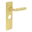 This is an image showing the Frelan - Piccadilly Door Handle Bathroom Backplate Satin Brass available to order from Trade Door Handles in Kendal