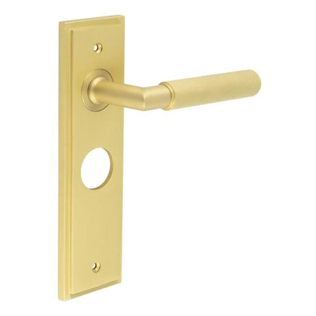 This is an image showing the Frelan - Piccadilly Door Handle Bathroom Backplate Satin Brass available to order from Trade Door Handles in Kendal