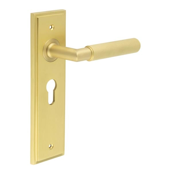 This is an image showing the Frelan - Piccadilly Door Handle Euro Backplate Satin Brass available to order from Trade Door Handles in Kendal