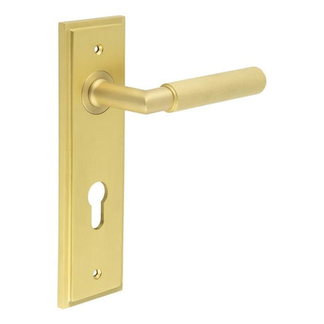 This is an image showing the Frelan - Piccadilly Door Handle Din Euro Backplate Satin Brass available to order from Trade Door Handles in Kendal