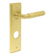 High quality image of Burlington - Piccadilly Door Handle Din Bathroom Backplate Satin Brass Sku. BUR40KIT247