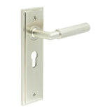 High quality image of Burlington - Piccadilly Door Handle Euro Backplate Satin Nickel Sku. BUR40KIT323