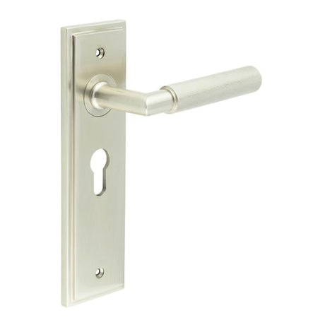 This is an image showing the Frelan - Piccadilly Door Handle Euro Backplate Satin Nickel available to order from Trade Door Handles in Kendal