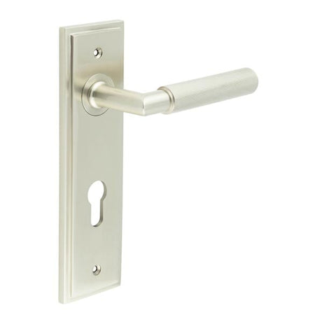 This is an image showing the Frelan - Piccadilly Door Handle Din Euro Backplate Satin Nickel available to order from Trade Door Handles in Kendal