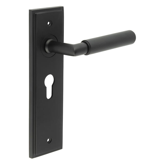High quality image of Burlington - Piccadilly Door Handle Euro Backplate Matt Black Sku. BUR40KIT336