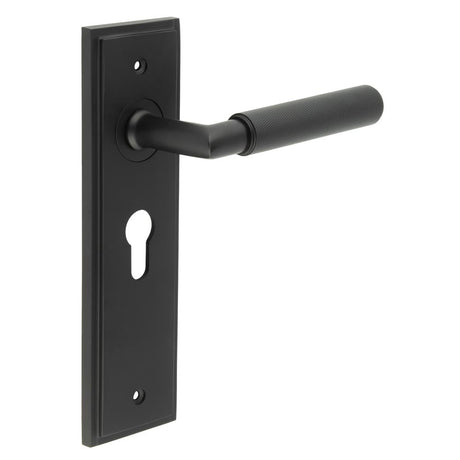 This is an image showing the Frelan - Piccadilly Door Handle Euro Backplate Matt Black available to order from Trade Door Handles in Kendal