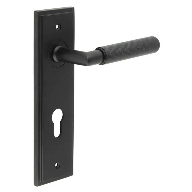 High quality image of Burlington - Piccadilly Door Handle Din Euro Backplate Matt Black Sku. BUR40KIT337