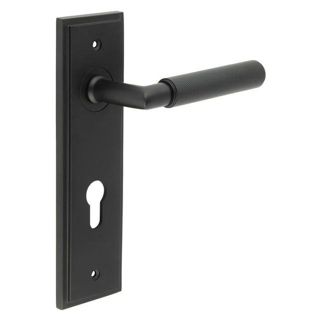 This is an image showing the Frelan - Piccadilly Door Handle Din Euro Backplate Matt Black available to order from Trade Door Handles in Kendal