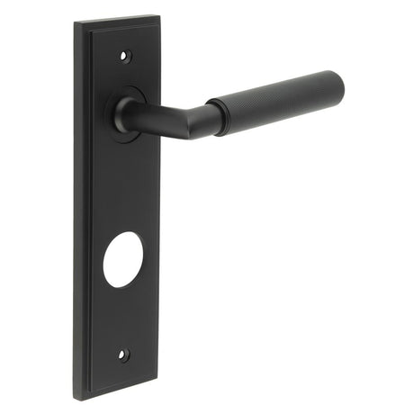 This is an image showing the Frelan - Piccadilly Door Handle Din Bathroom Backplate Matt Black available to order from Trade Door Handles in Kendal