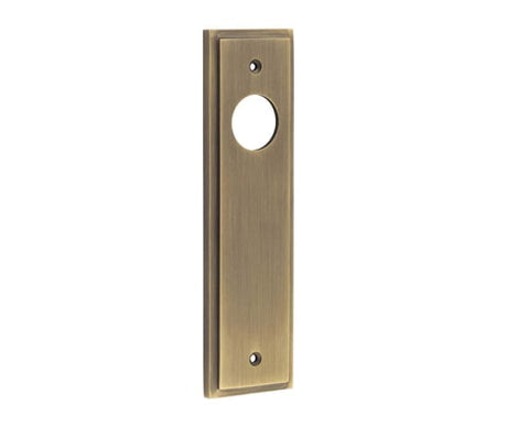 This is an image showing the Burlington - Latch Plate Choices available to order from Trade Door Handles in Kendal