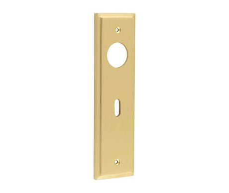 This is an image showing the Burlington - Standard Lock Plate Choices available to order from Trade Door Handles in Kendal