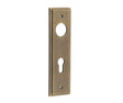 This is an image showing the Burlington - Din Euro Profile Lock Plate Choices available to order from Trade Door Handles in Kendal