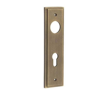 This is an image showing the Burlington - Din Euro Profile Lock Plate Choices available to order from Trade Door Handles in Kendal