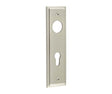 This is an image showing the Burlington - Din Euro Profile Lock Plate Choices available to order from Trade Door Handles in Kendal