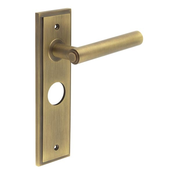 This is an image showing the Frelan - Richmond Door Handle Bathroom Backplate Antique Brass available to order from Trade Door Handles in Kendal