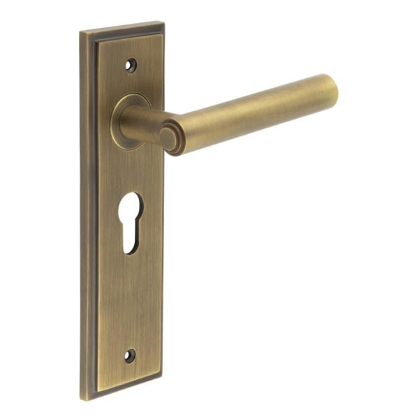 This is an image showing the Frelan - Richmond Door Handle Euro Backplate Antique Brass available to order from Trade Door Handles in Kendal