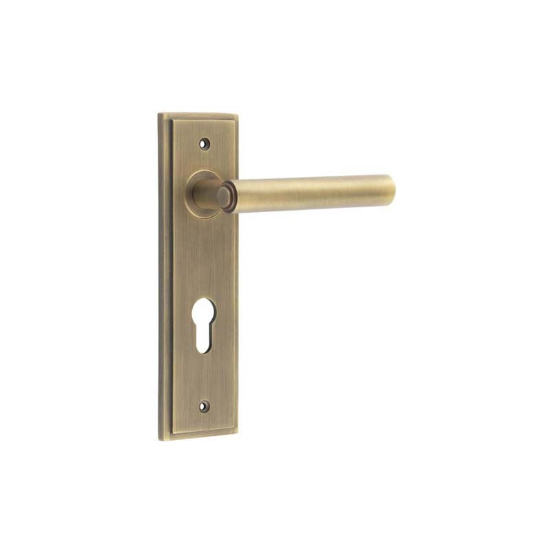 This is an image showing the Frelan - Richmond Door Handle Din Euro Backplate Antique Brass available to order from Trade Door Handles in Kendal