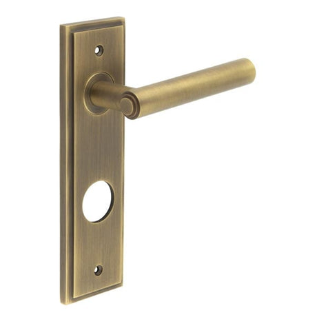 This is an image showing the Frelan - Richmond Door Handle Din Bathroom Backplate Antique Brass available to order from Trade Door Handles in Kendal