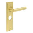 High quality image of Burlington - Richmond Door Handle Bathroom Backplate Satin Brass Sku. BUR45KIT244