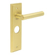 This is an image showing the Frelan - Richmond Door Handle Bathroom Backplate Satin Brass available to order from Trade Door Handles in Kendal