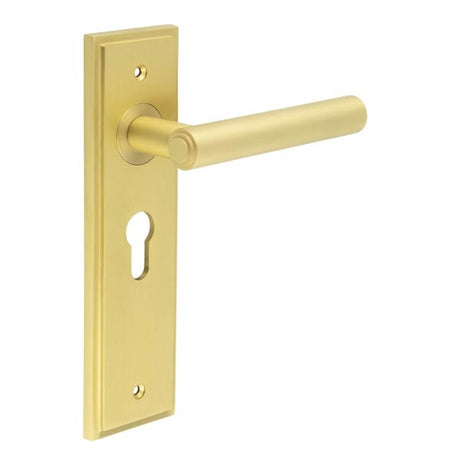 This is an image showing the Frelan - Richmond Door Handle Euro Backplate Satin Brass available to order from Trade Door Handles in Kendal