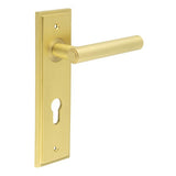 High quality image of Burlington - Richmond Door Handle Din Euro Backplate Satin Brass Sku. BUR45KIT246