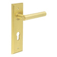 This is an image showing the Frelan - Richmond Door Handle Din Euro Backplate Satin Brass available to order from Trade Door Handles in Kendal