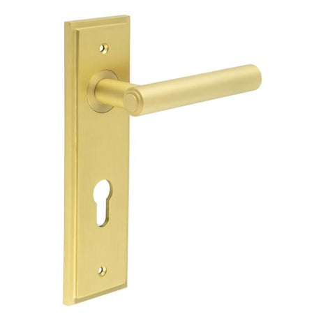 This is an image showing the Frelan - Richmond Door Handle Din Euro Backplate Satin Brass available to order from Trade Door Handles in Kendal