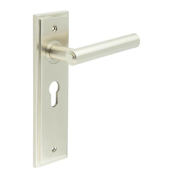 This is an image showing the Frelan - Richmond Door Handle Euro Backplate Satin Nickel available to order from Trade Door Handles in Kendal