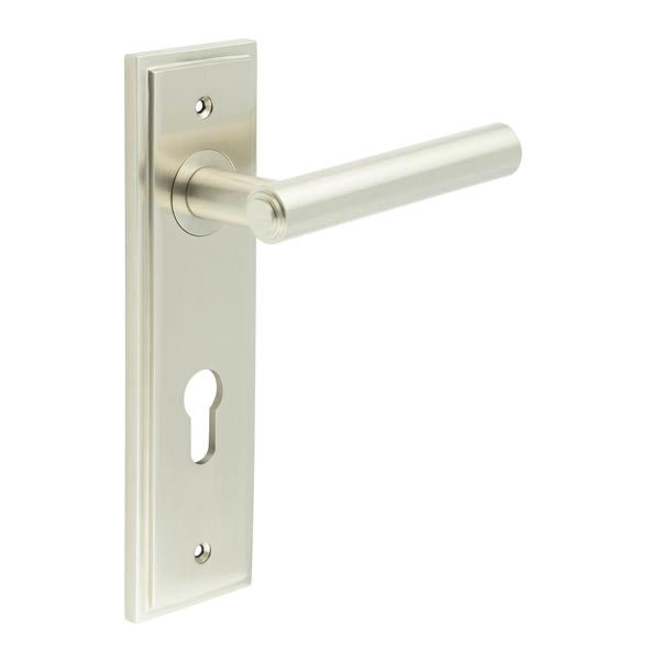 High quality image of Burlington - Richmond Door Handle Din Euro Backplate Satin Nickel Sku. BUR45KIT324