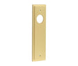 Frelan Hardware Door Furniture Satin Brass / Lock & Latch Plates Burlington - Latch Plate Choices