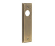 Frelan Hardware Locks & Latches Antique Brass / Lock & Latch Plates Burlington - Latch Plate Choices