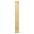 High quality image of Alexander & Wilks - Rectangular Cabinet Pull Backplate-Satin Brass Pvd-200X22X3mm - 160mm C/C | Sku.AWBP160SBPVD | Trade Door Handles.