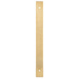 High quality image of Alexander & Wilks - Rectangular Cabinet Pull Backplate-Satin Brass Pvd-232X22X3mm - 192mm C/C | Sku.AWBP192SBPVD | Trade Door Handles.