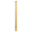 High quality image of Alexander & Wilks - Rectangular Cabinet Pull Backplate-Satin Brass Pvd-264X22X3mm - 224mm C/C | Sku.AWBP224SBPVD | Trade Door Handles.