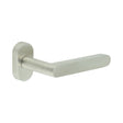 High quality image of CRES - CR-101 Satin Stainless Steel Multi Point Oval Rose Door Handle Sku. CR-101C4SSS