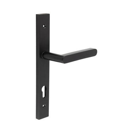 High quality image of CRES - CR-101 Black Multi Point Backplate Door Handle Sku. CR-101G4MB