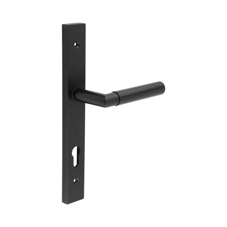 High quality image of CRES - CR-102 Black Multi Point Backplate Door Handle Sku. CR-102G4MB