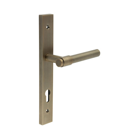 High quality image of CRES - CR-103 Antique Brass Multi Point Backplate Door Handle Sku. CR-103G4AB
