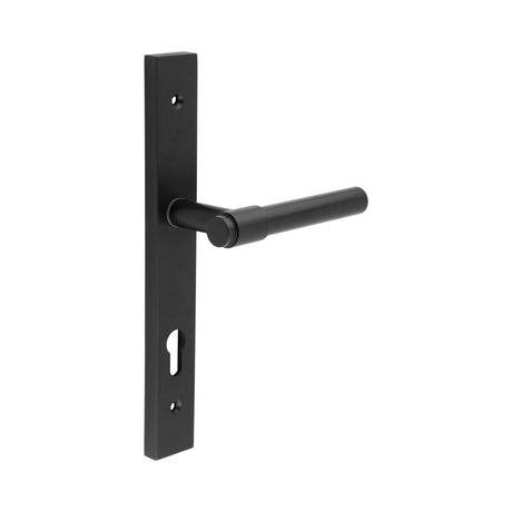 High quality image of CRES - CR-103 Black Multi Point Backplate Door Handle Sku. CR-103G4MB