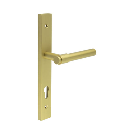High quality image of CRES - CR-103 Satin Brass Multi Point Backplate Door Handle Sku. CR-103G4SB