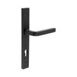High quality image of CRES - CR-104 Black Multi Point Backplate Door Handle Sku. CR-104G4MB