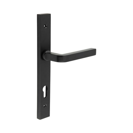 High quality image of CRES - CR-104 Black Multi Point Backplate Door Handle Sku. CR-104G4MB