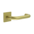 High quality image of CRES - CR-106 Satin Brass Fixed Dead Square Rose Door Handle Sku. CR-106B3SB
