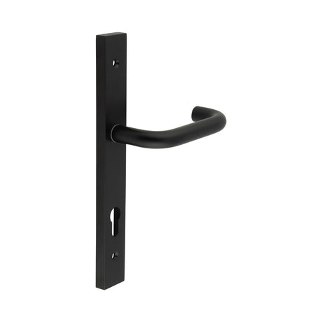 High quality image of CRES - CR-106 Black Multi Point Backplate Door Handle Sku. CR-106G4MB